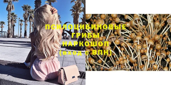 бошки Балахна
