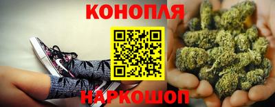 крисы Рязань