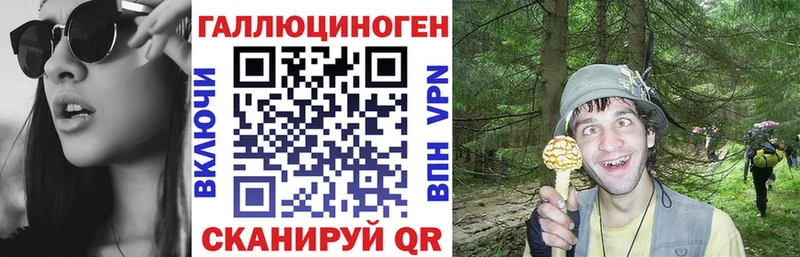 Галлюциногенные грибы Psilocybine cubensis  Ульяновск 