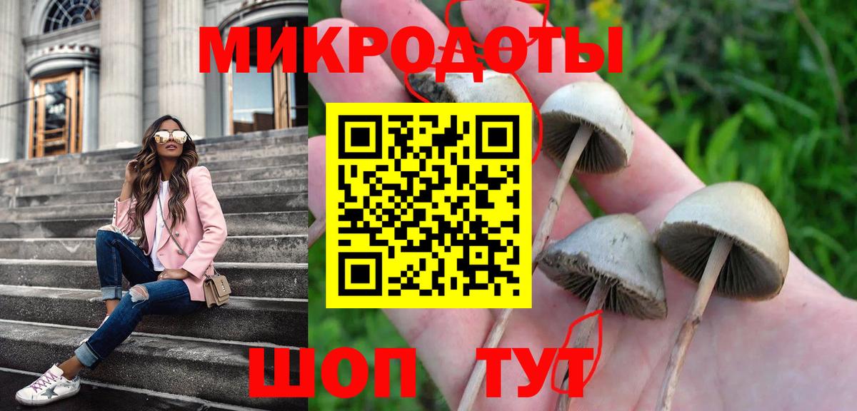 Ульяновск  Псилоцибиновые грибы GOLDEN TEACHER  Вход с VPN  Галлюциногенные грибы MAGIC MUSHROOMS 