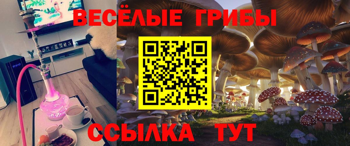 Галлюциногенные грибы MAGIC MUSHROOMS Ульяновск